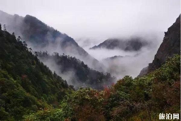 雅安黑水河景区介绍 雅安黑水河景区烧烤攻略