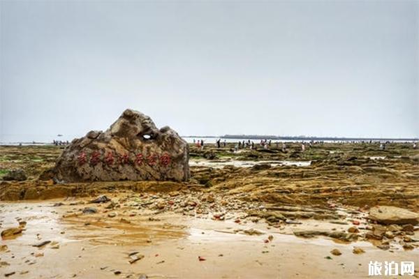 日照万宝园赶海需要门票吗 门票多少钱-赶海最佳时间