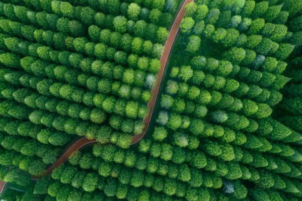 2021昆明国际生物多样性日系列活动详情 旅游日有哪些活动