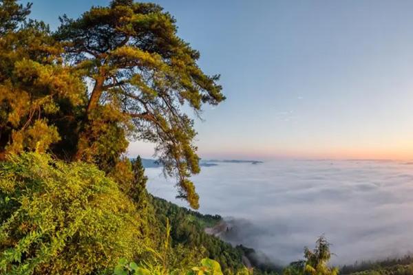 南充爬山的地方有哪些