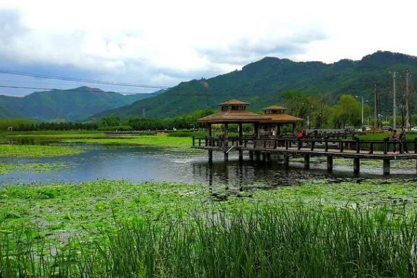 天津五月避暑湿地有哪些