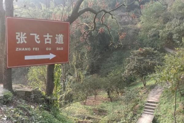 重庆徒步旅游线路推荐