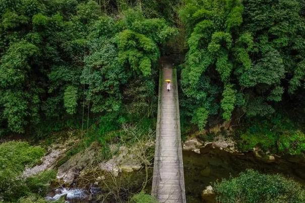 都江堰的小山林有哪些景点