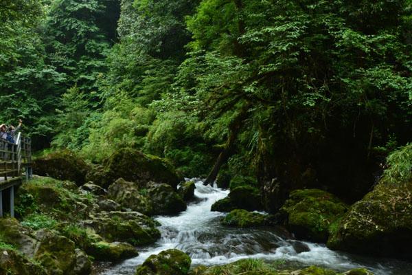 四川雅安避暑旅游景点 夏天避暑胜地推荐