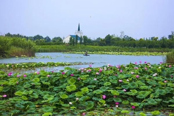 泗洪洪泽湖湿地公园旅游攻略