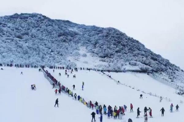 金佛山门票多少钱一张