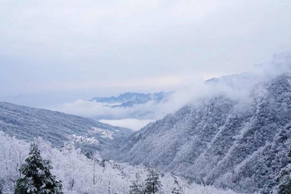 金佛山和四面山哪个好玩