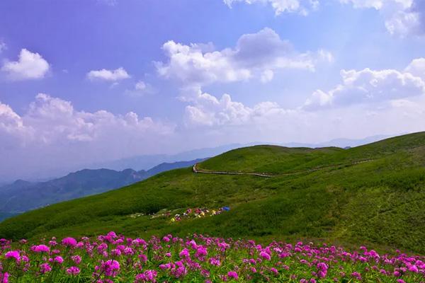 贵州韭菜坪景区最佳旅游时间