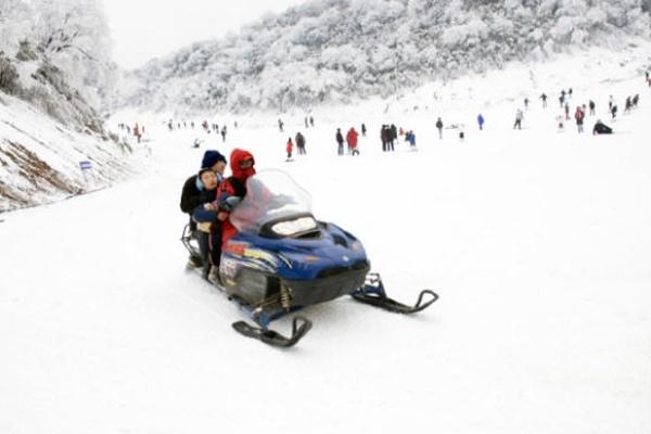 重庆金佛山看雪最佳时间