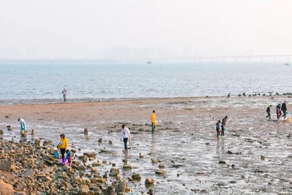 青岛夏天赶海的好地方