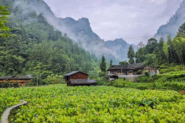 土家十三寨景区门票多少钱