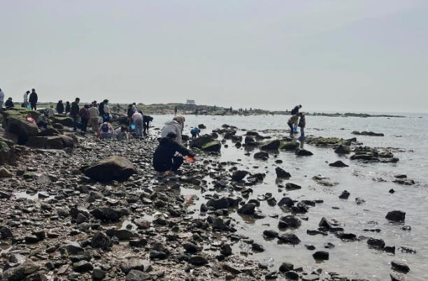 烟台赶海去哪里比较好