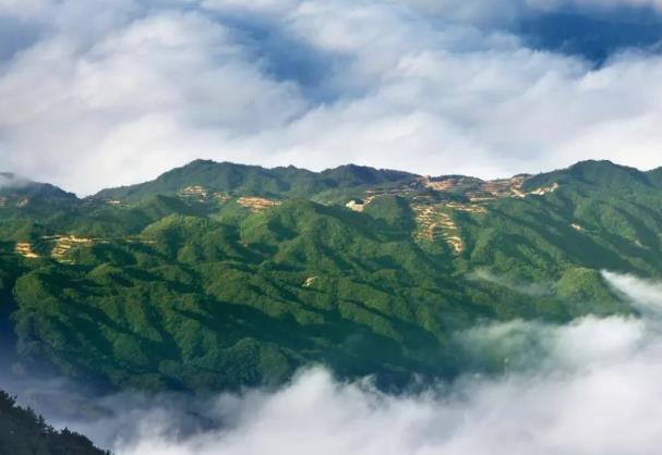 湖南凉快的旅游景点有哪些地方