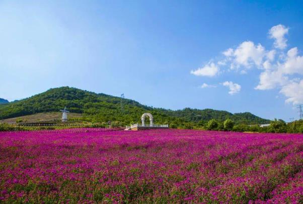 大连适合情侣去的地方有哪些景点