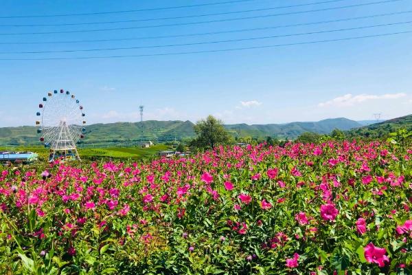 青海乡村旅游路线推荐