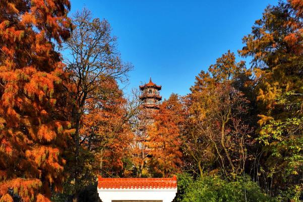 武汉秋天哪里的风景好