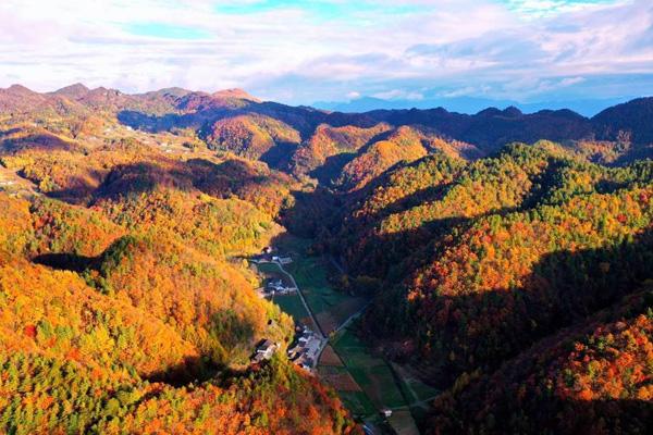 郴州赏桂花的地方在哪