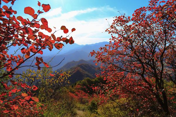 淄博秋天哪里风景好