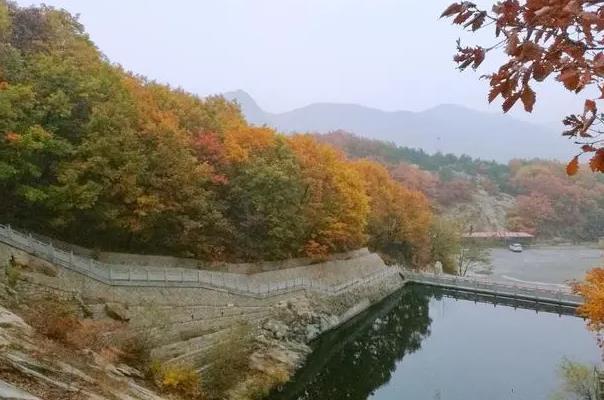 大连秋天去哪旅游 大连秋天旅游景点介绍