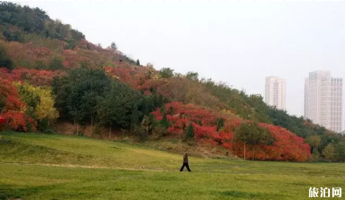 天津赏红叶哪里最好的地方 天津周边赏红叶的地方有哪些