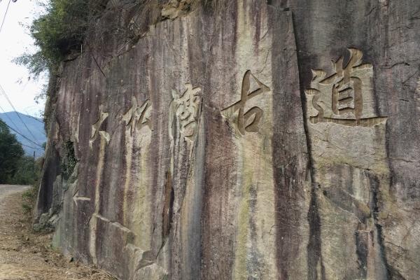 宁波登山步道有哪些