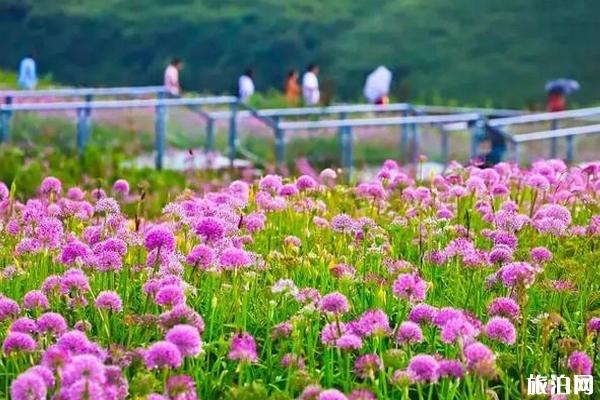 秋季阿西里西大草原旅游攻略