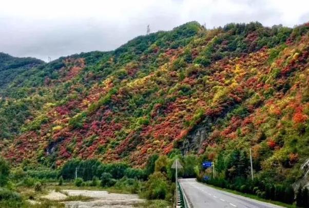 秦岭国道自驾游赏秋最好的路段