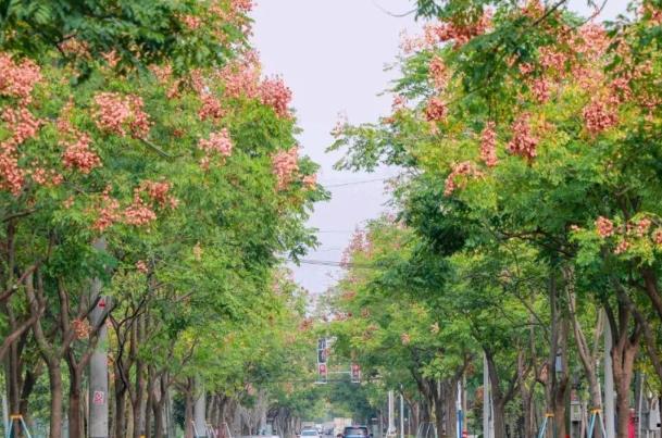 上海什么地方赏秋最好