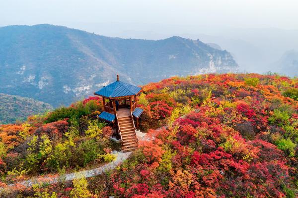 南阳哪里有红叶景区