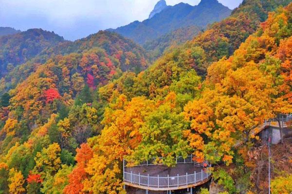 鞍山赏枫叶的最佳地点有哪些