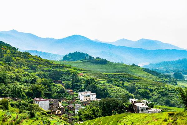 大埔旅游景点哪些好玩的地方