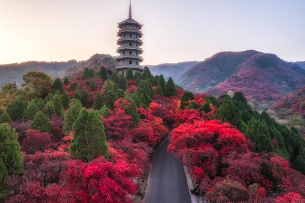 济南红叶谷红叶最佳观赏地点在哪