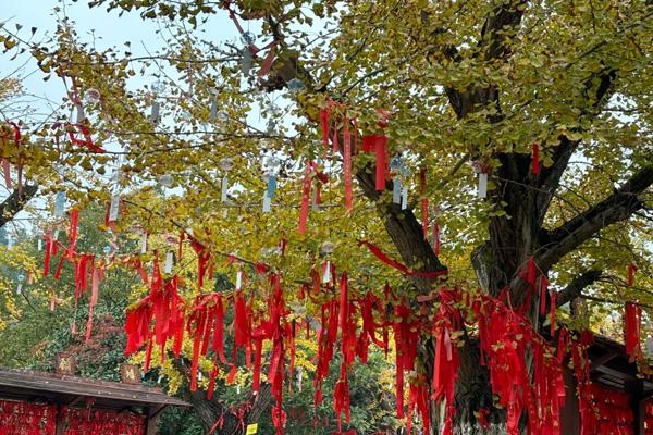 2025常州春节庙会有哪些