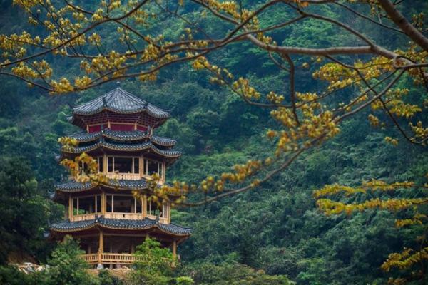 水锦顺庄旅游景区游玩攻略-门票价格-景点信息
