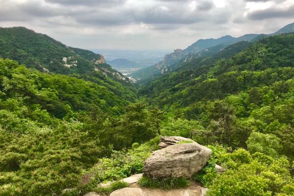 烟台招远罗山国家森林公园游玩攻略-门票价格-景点信息
