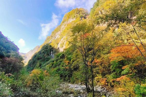 宝鸡红河谷国家森林公园旅游攻略-门票价格-景点信息