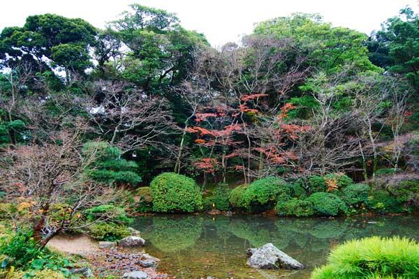 南宁春季赏花地方推荐