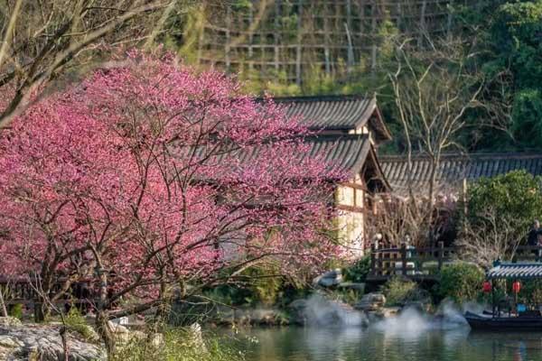 上饶赏梅花的最佳地方