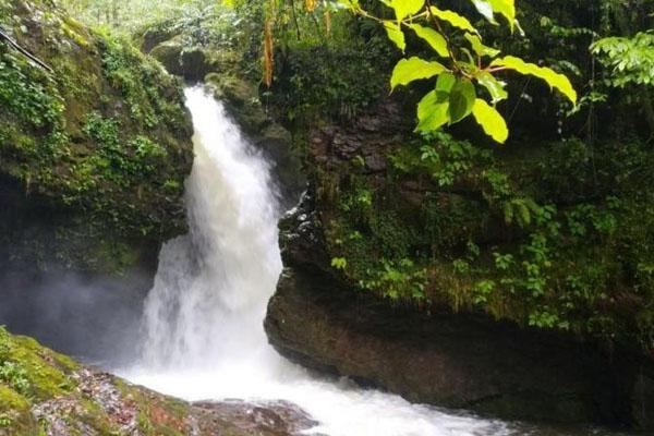 雅安龙苍沟叠翠溪景区旅游攻略-门票价格-景点信息