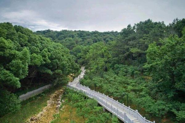 苏州森林步道在哪里