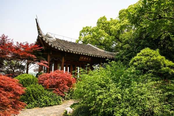 杭州春季赏花旅游攻略