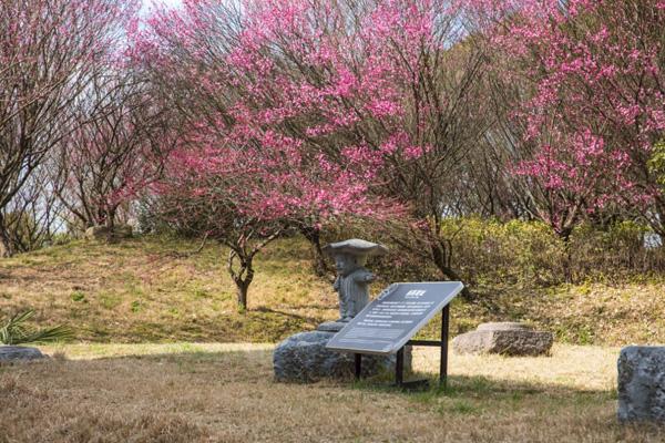 2025嘉兴梅花洲景区门票免票政策