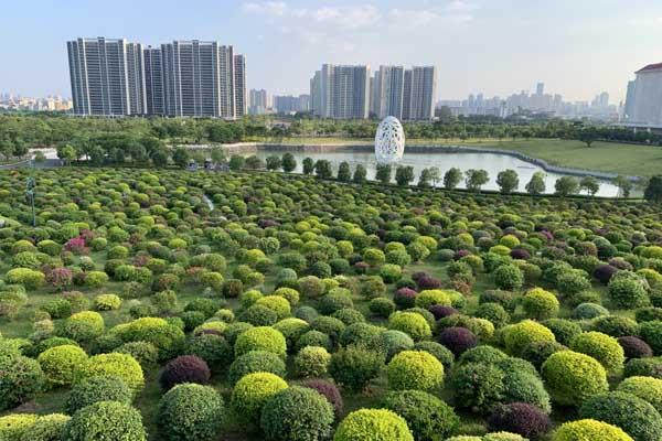 惠州春季赏花景点有哪些