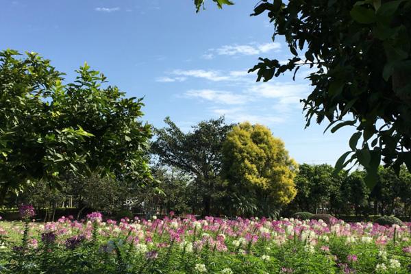 广州花都香草世界游玩攻略-门票价格-景点信息