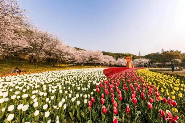 苏州上方山国家森林公园旅游攻略-门票价格-景点信息