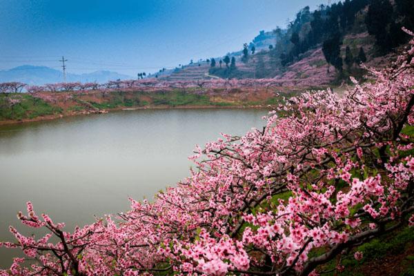 成都桃花故里景区游玩攻略-门票价格-景点信息