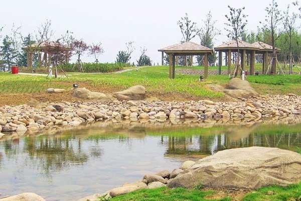 苏州适合遛娃的免费公园