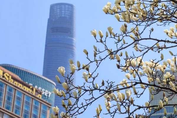 湘潭赏花踏青的地方