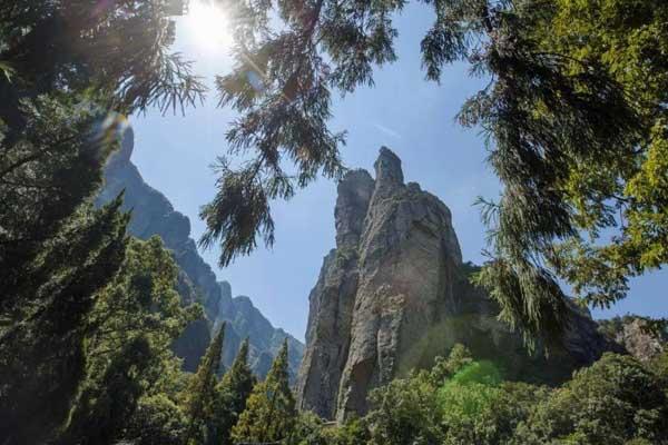 乐清赏花旅游景点有哪些