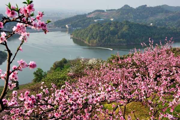 成都龙泉驿有哪些景点